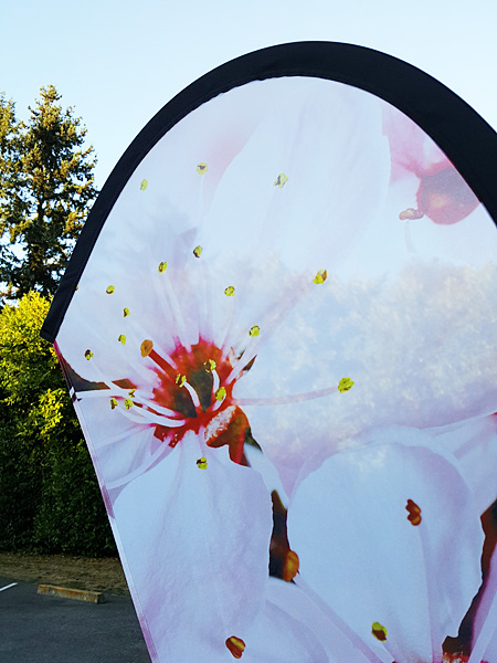 Custom feather and teardrop beach flag banner
