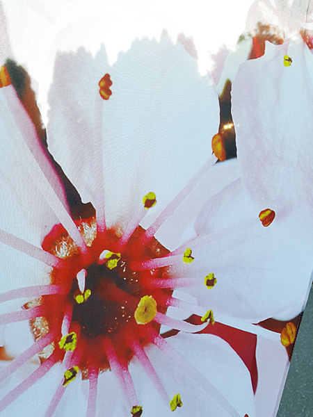 Custom feather and teardrop beach flag banner