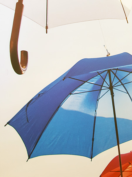 Roll Up Banner: Retractable Narrow
